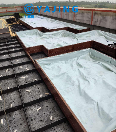 Green Roof System with Self Watering Box and Rainwater Modules