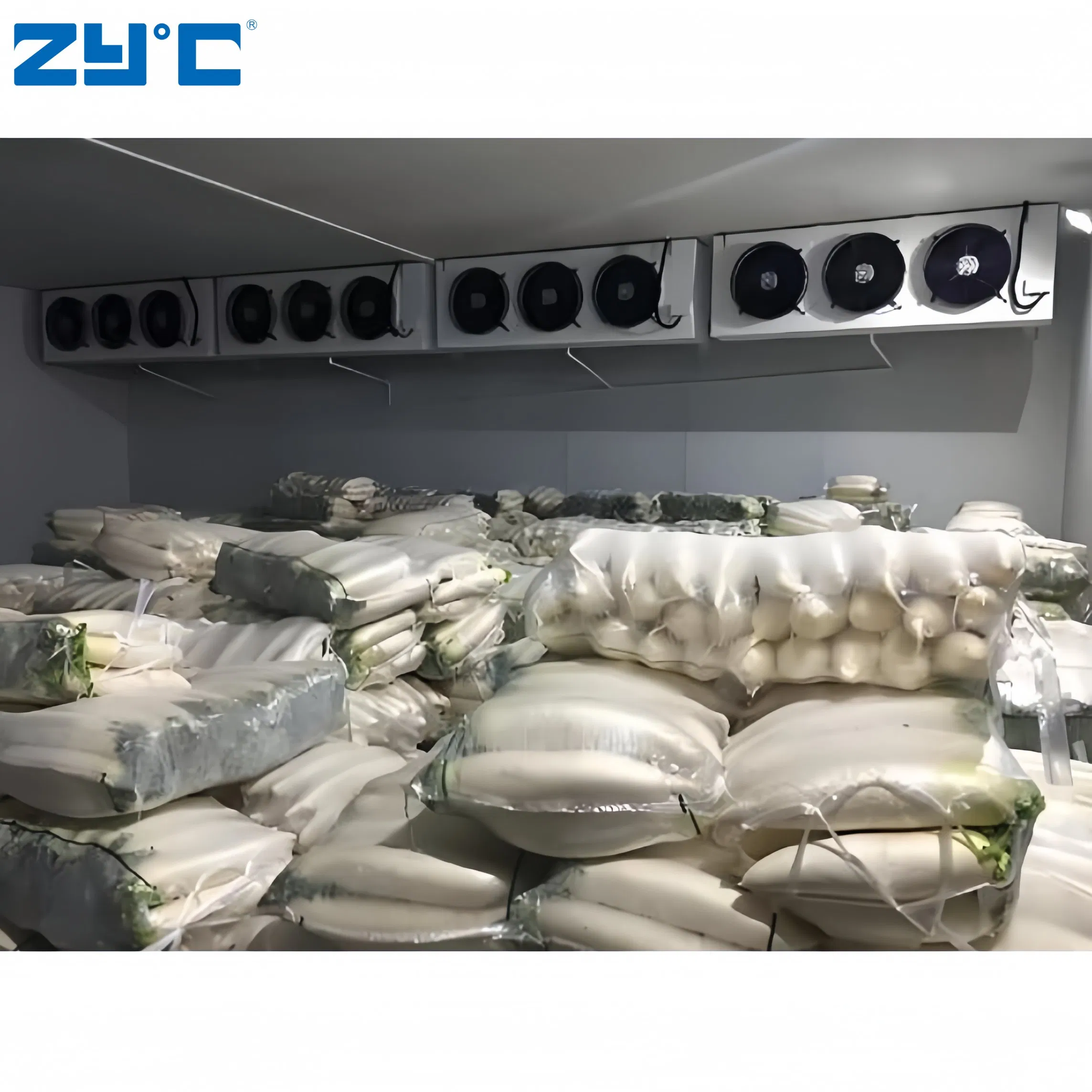 Earthquake Proof Secure Cold Storage with Unit Japan Standard for Safety Protection