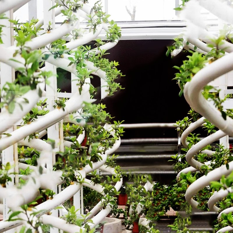 Indoor Office Nft Hydroponics Growing System for Fresh Daily Edible Greens