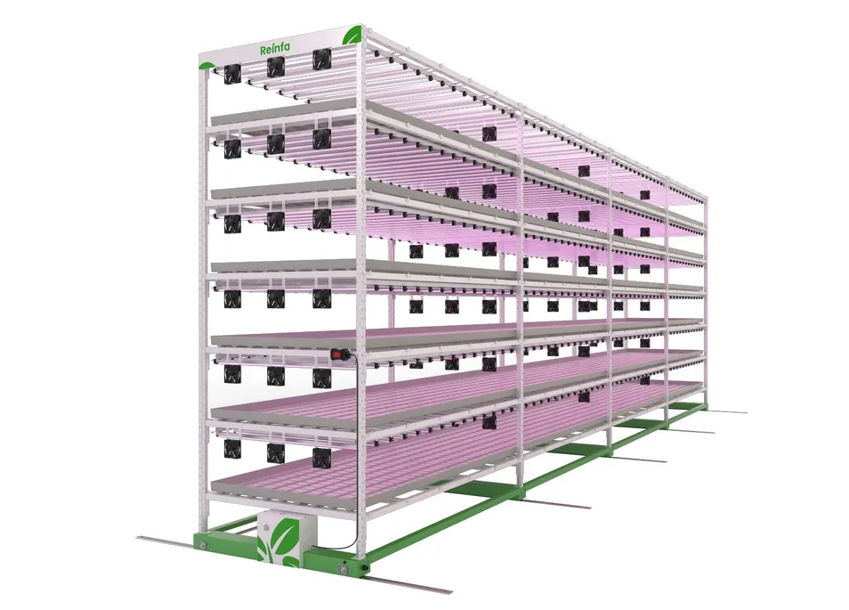 Hydroponic System S