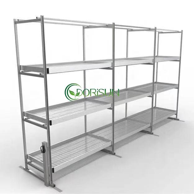 Vertical Grow Rack Hydroponic Greenhouse Ebb and Flow Table Multi Level Grain Hydroponic Rack