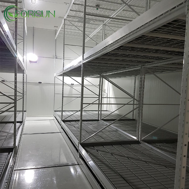 Adjustable Ebb and Flow Table Systems Rolling Grow Table Benches Hydroponics Racks for Plant