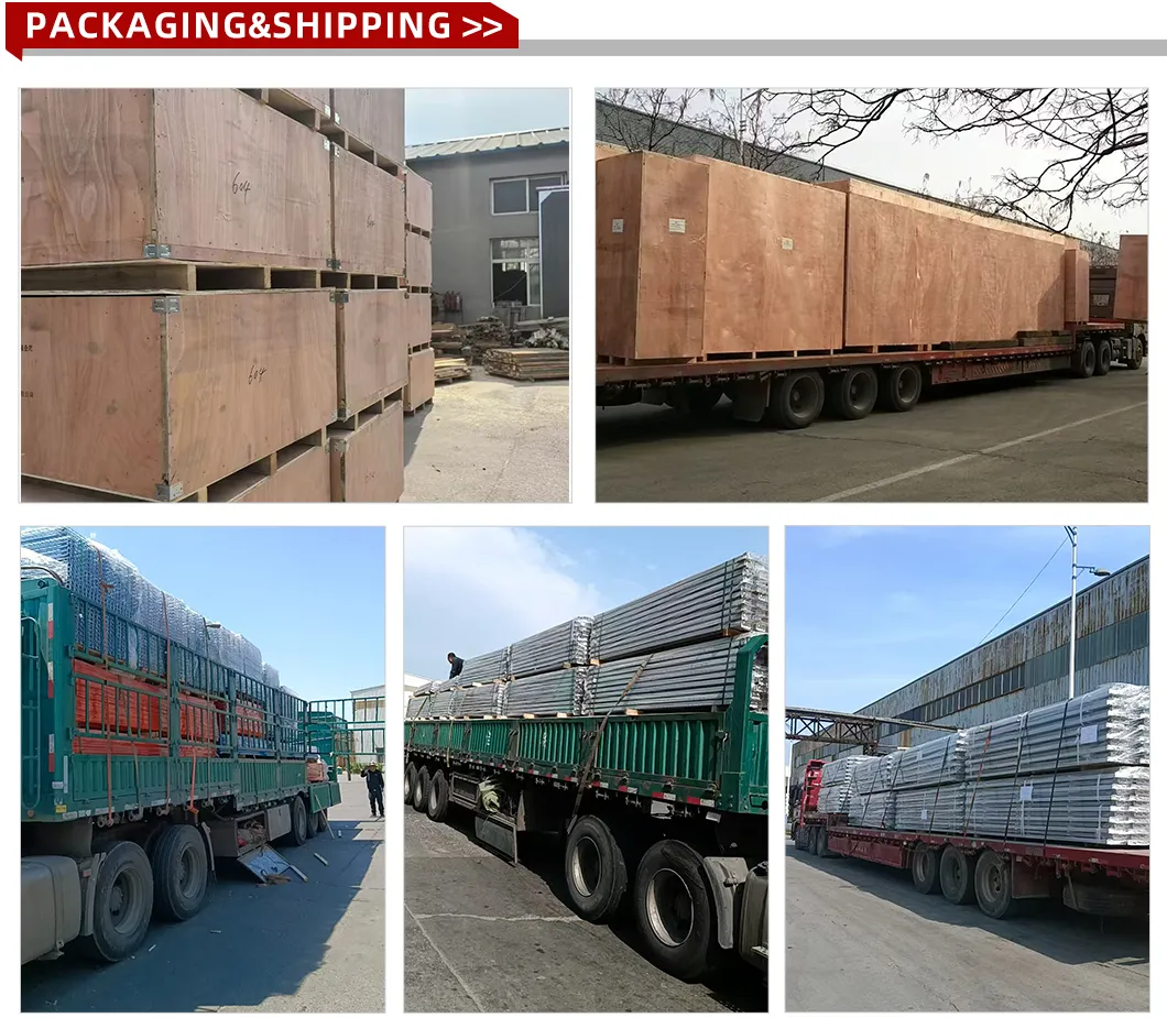 Shipping and Packaging Process