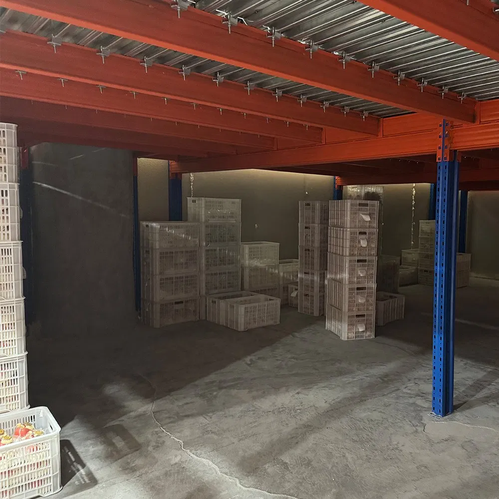 Customizable Heavy Duty Steel Structure Mezzanine Floor for Bulk Goods Storage