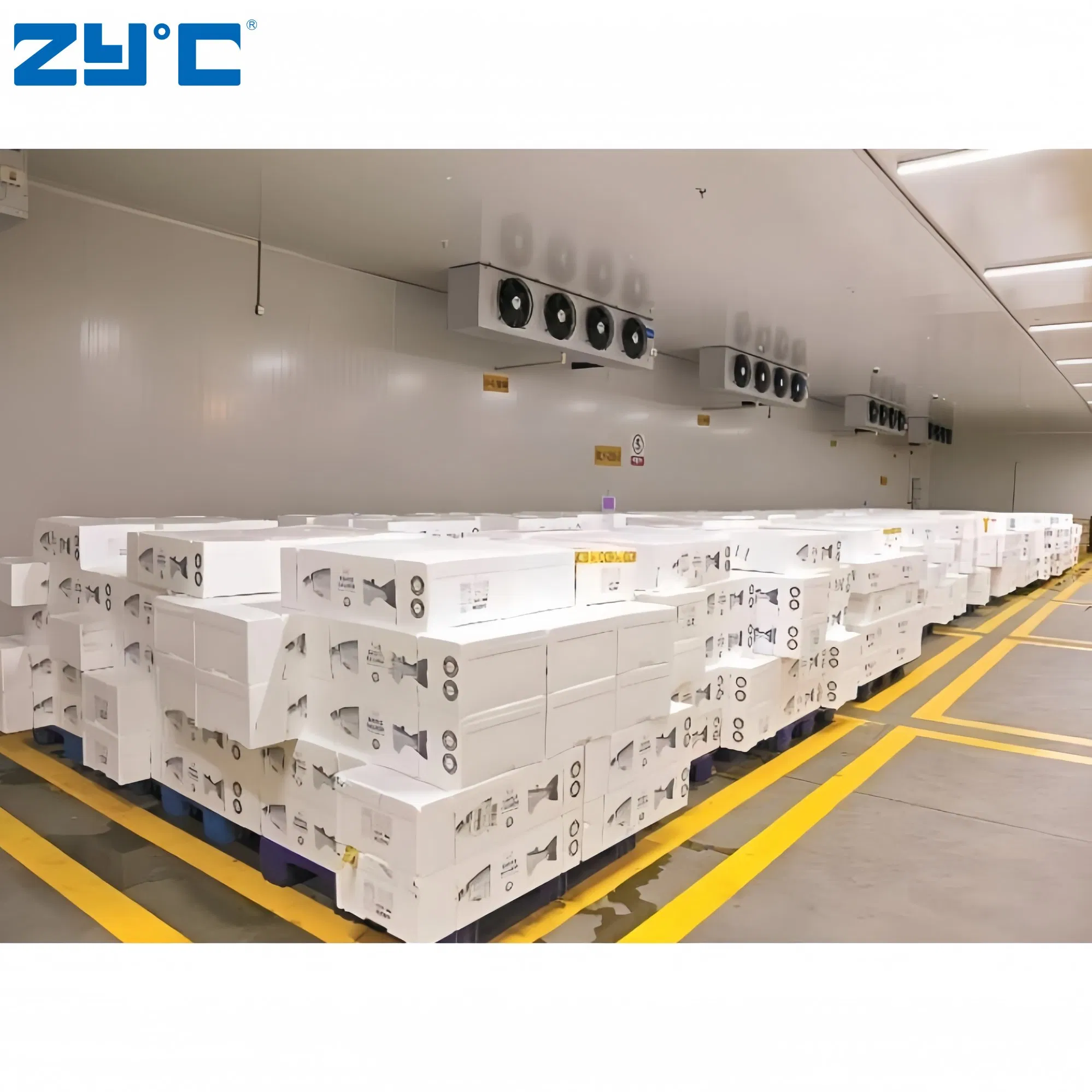 Earthquake Proof Secure Cold Storage with Unit Japan Standard for Safety Protection
