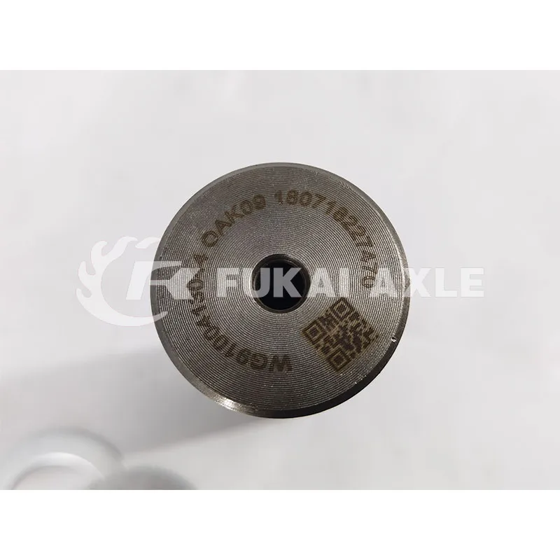 مجموعة محور الملك لشاحنات سينوتروك هوي 16 T5g T7h قطع الغيار Az9100413044