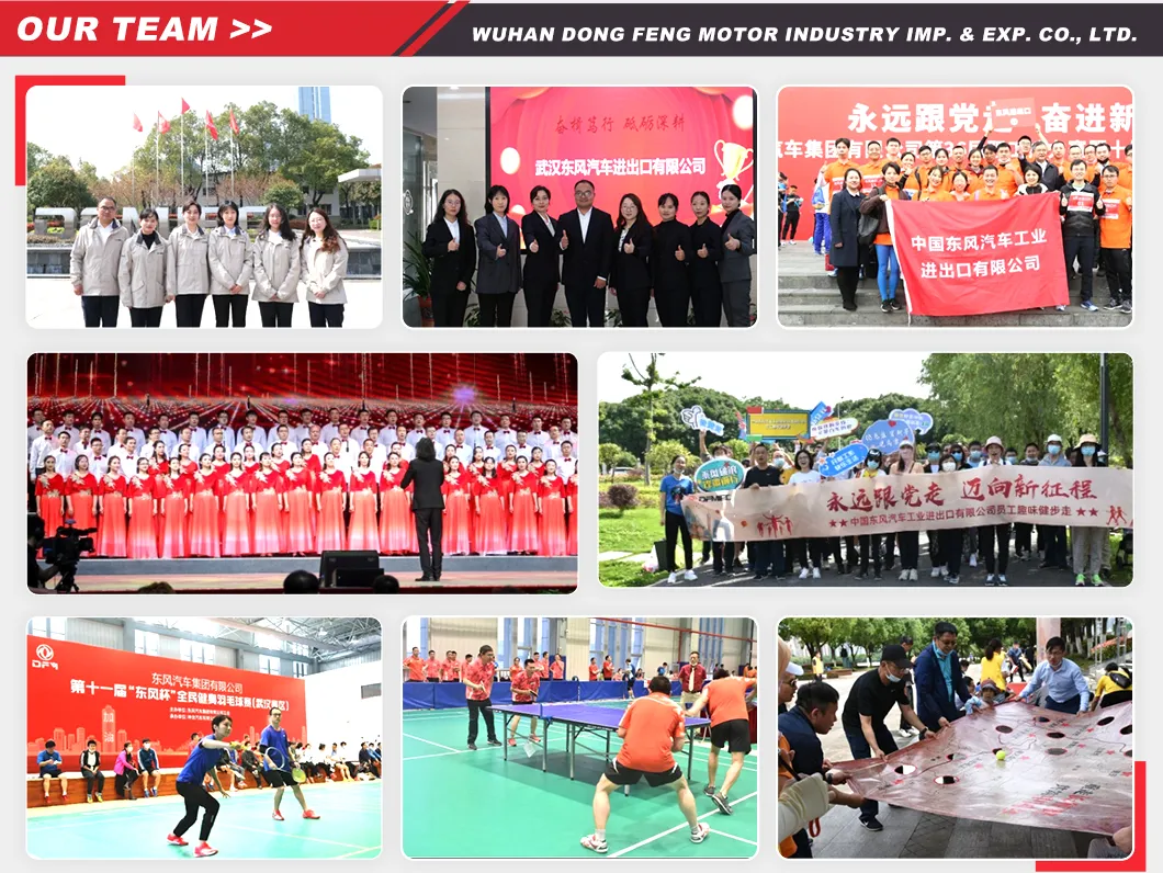 Our Team