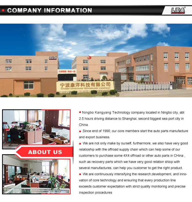 Company Info
