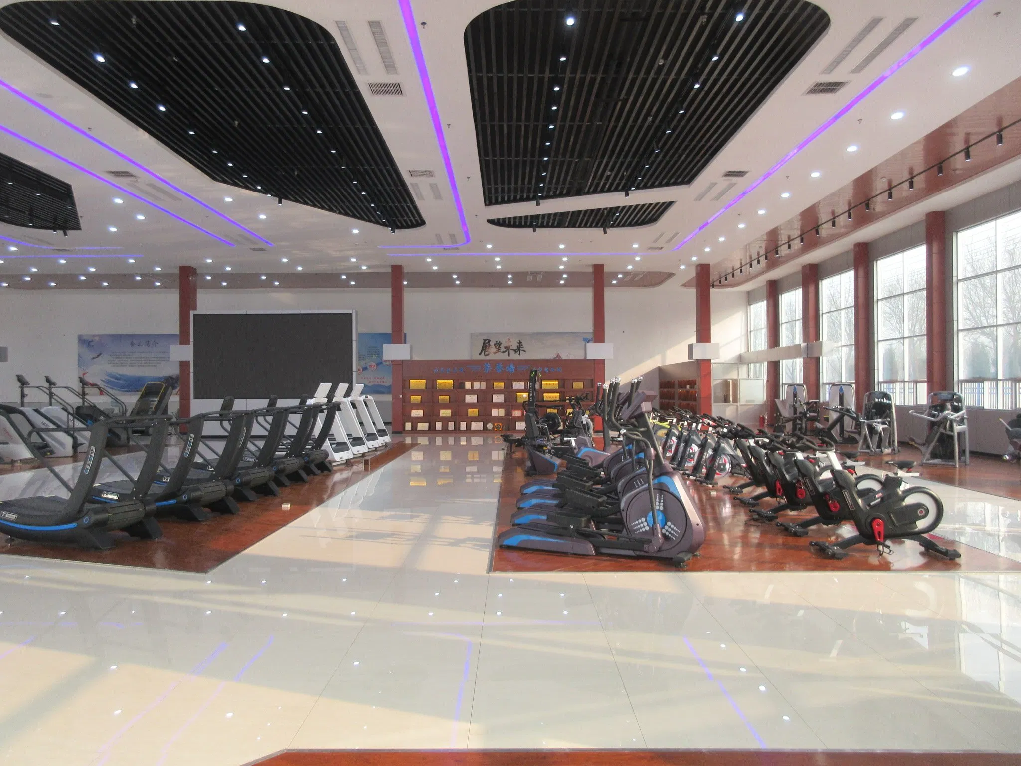 Commercial Barbell Rack Home Gym