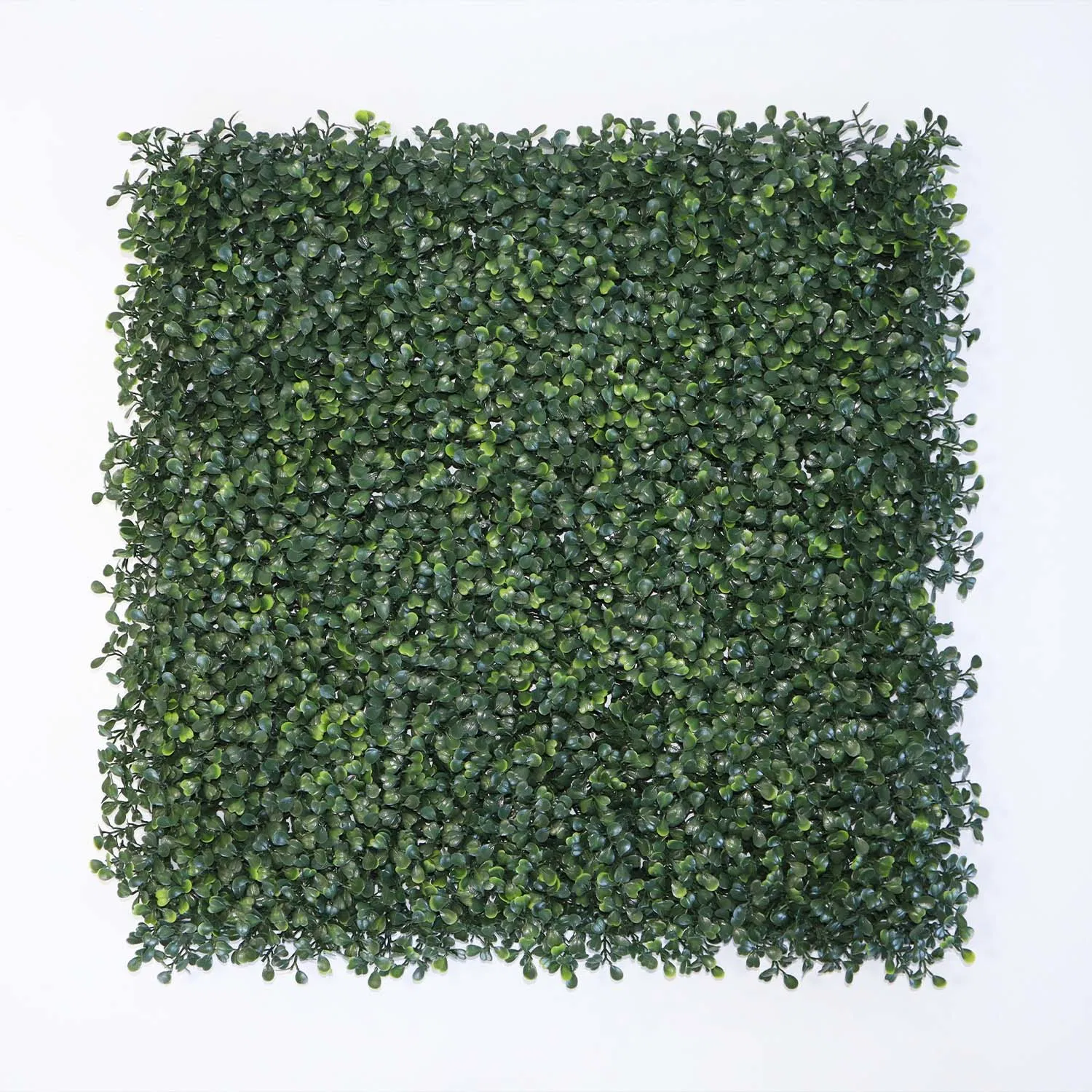 Grass Wall Classroom Grass Decoration Wall Green Wall Plants The Living Wall Vertical Green Wall Garden Plant Wall Grass Wall in Home