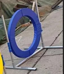 Training Jump Hurdle 6