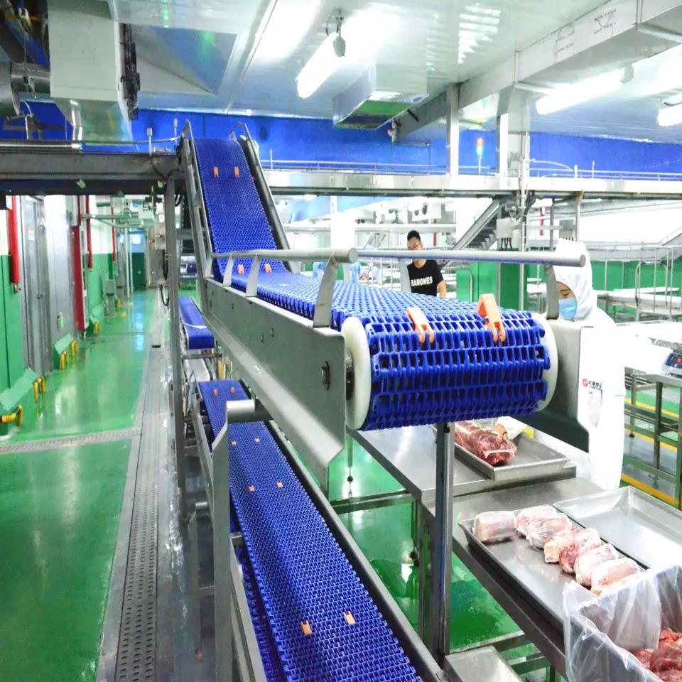 Meat Procession Room Automatic Meat Processing and Meat Cutting Line Equipment