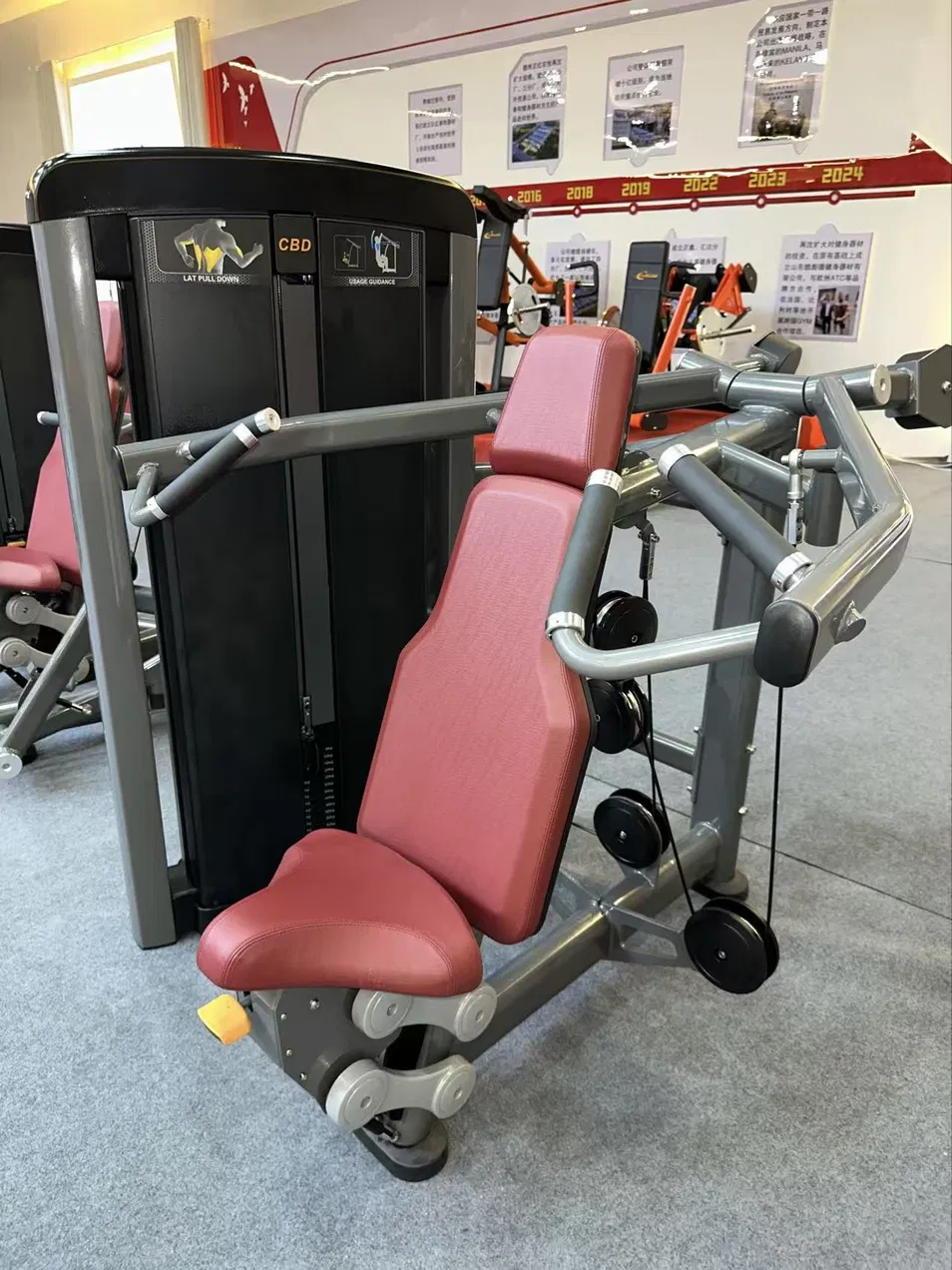 Shoulder Press Detail 1