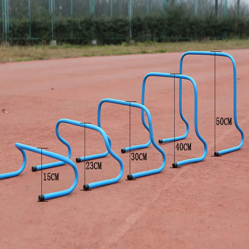 Agility Hurdle 3