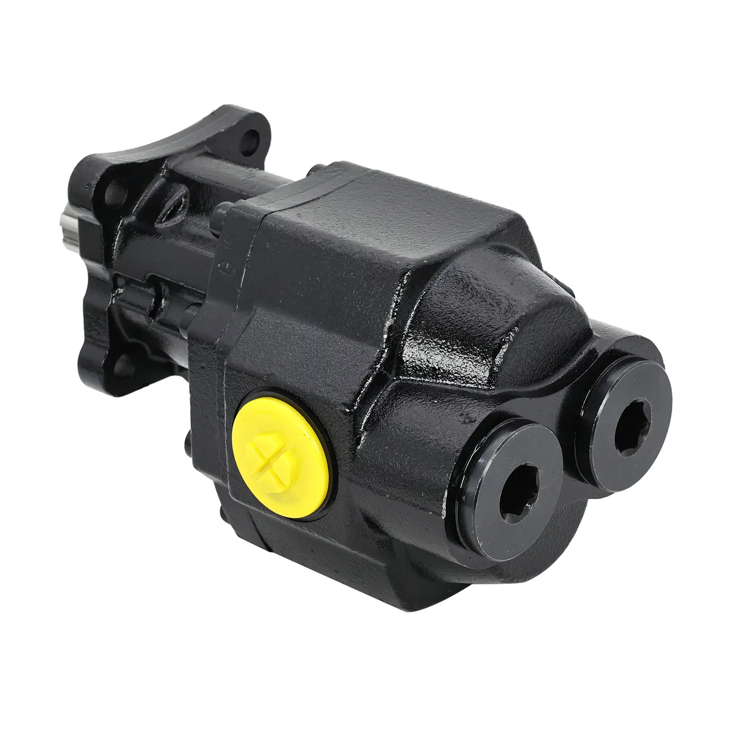 Wide Temperature Range Adaptive 100cc Hydraulic Gear Pump (For Plateau Equipment)