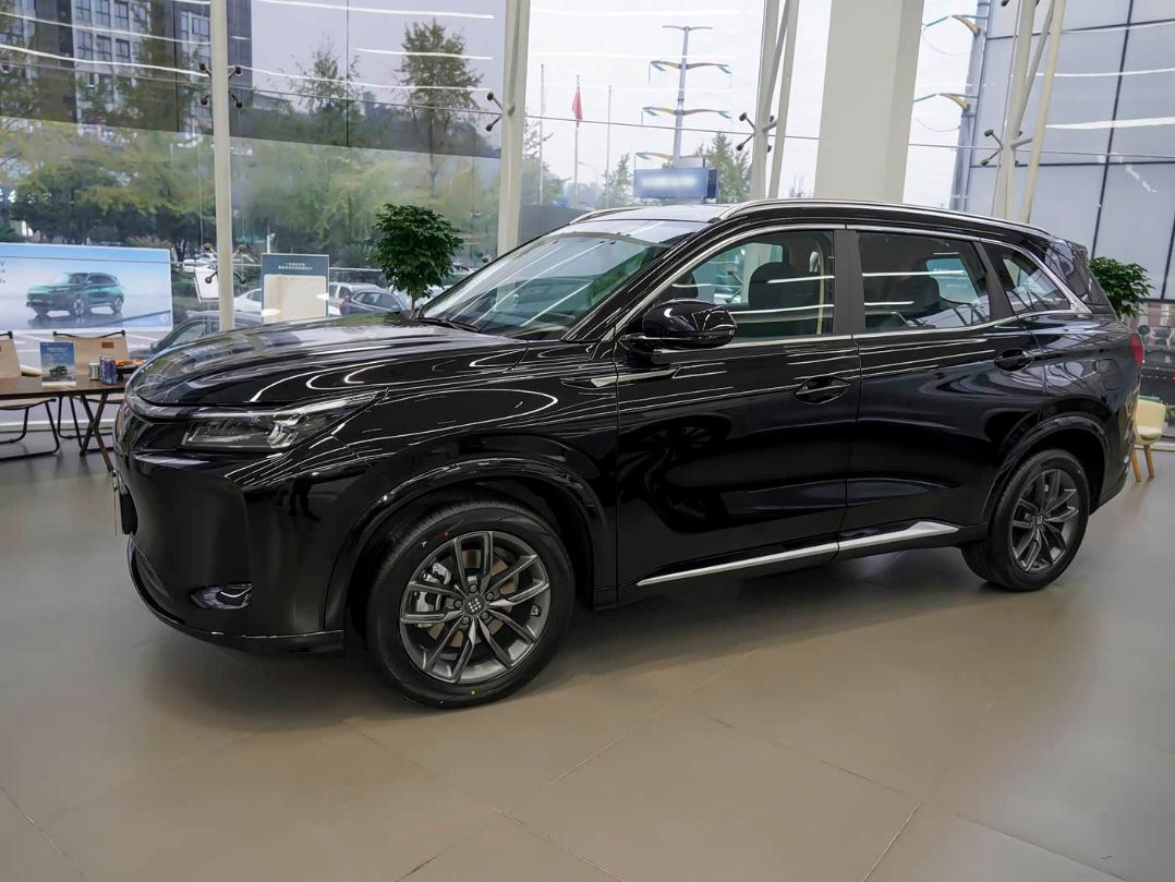 Youth-Friendly Youthful Landian E5 Plus Auto Gear for Snowy/ Muddy Road