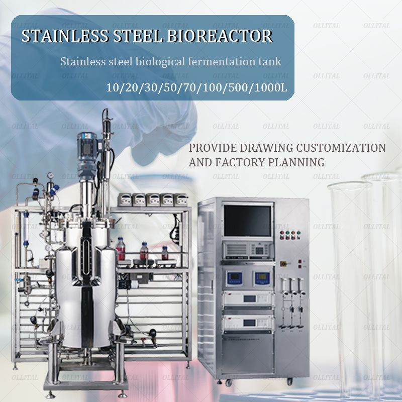 Ollital Bioreactor Equipment Batch and Continuous Bioreactor