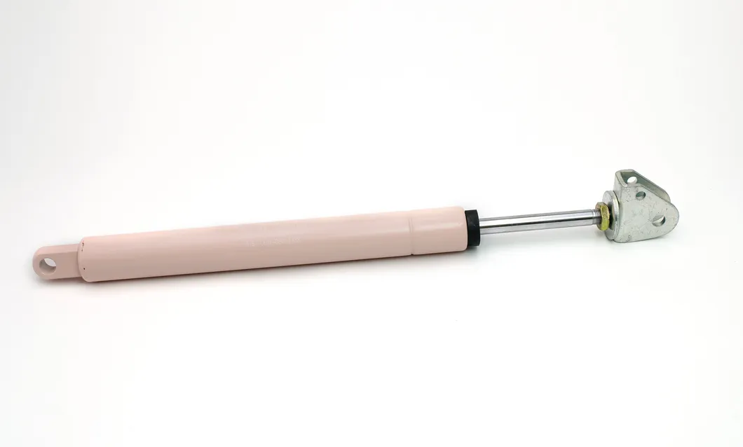 Gas Strut Specification
