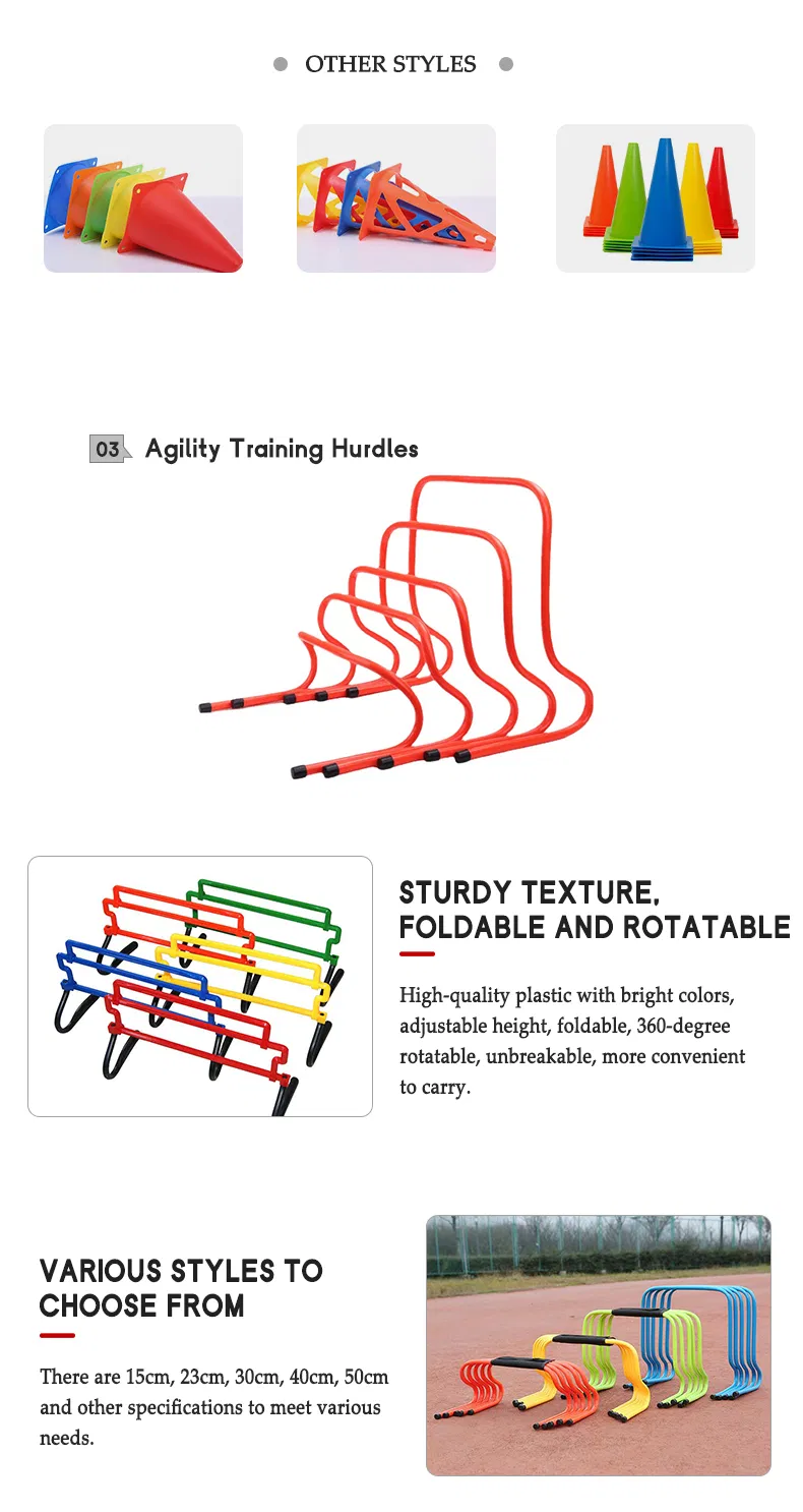 Agility Hurdle 4