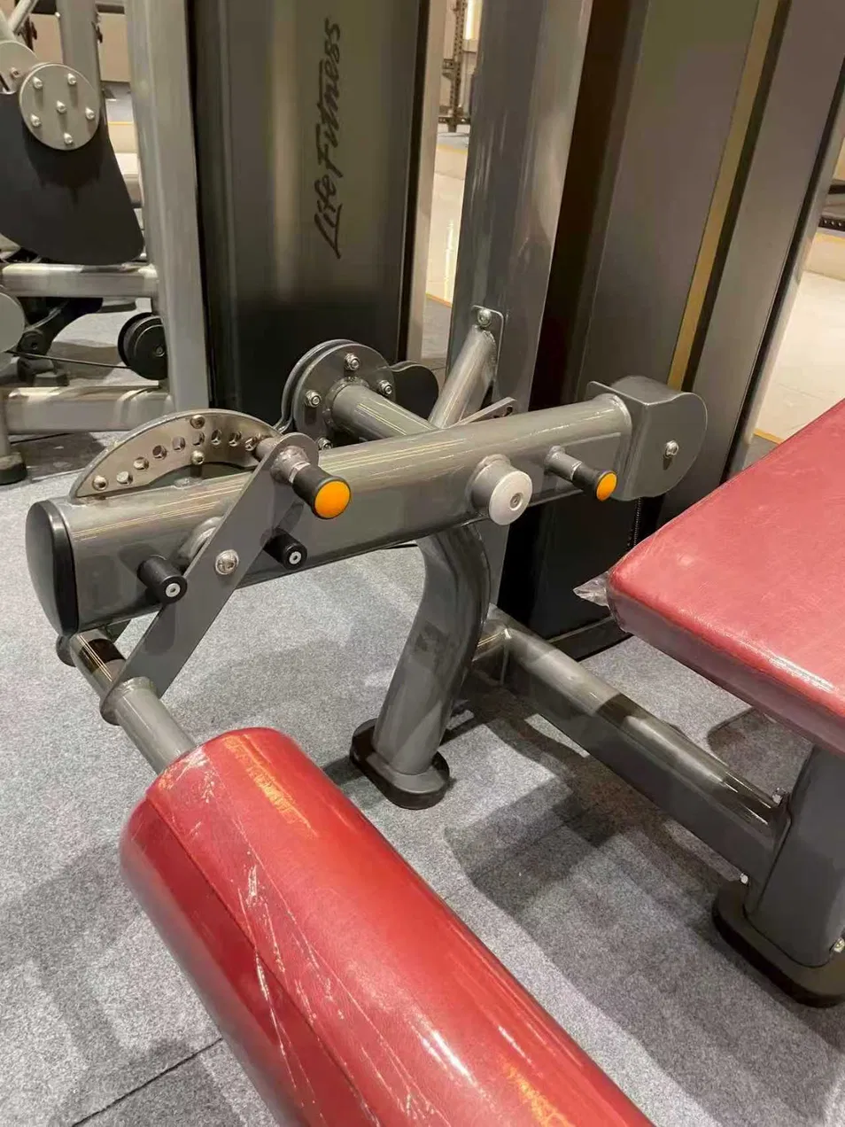 Leg Curl Machine 4