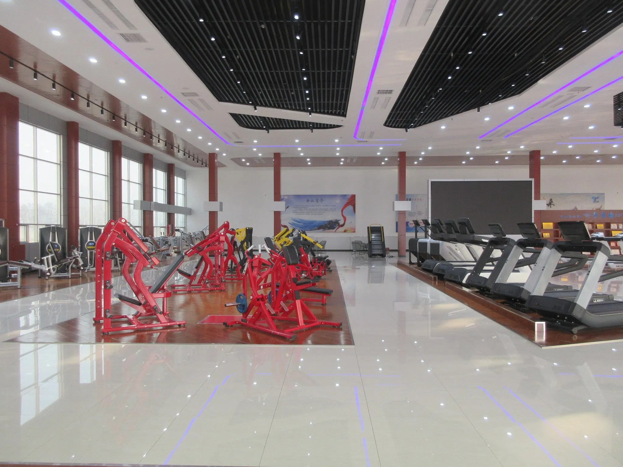 Commercial Barbell Rack Home Gym