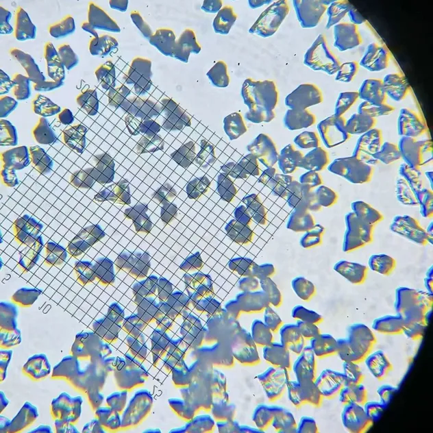 Sic Micro Powder View 2