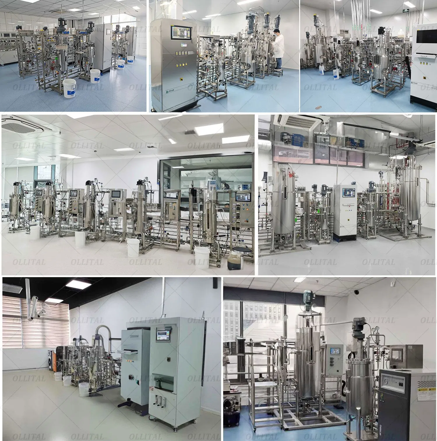 Ollital Micro Algae Cultivation Bioreactor for Sale