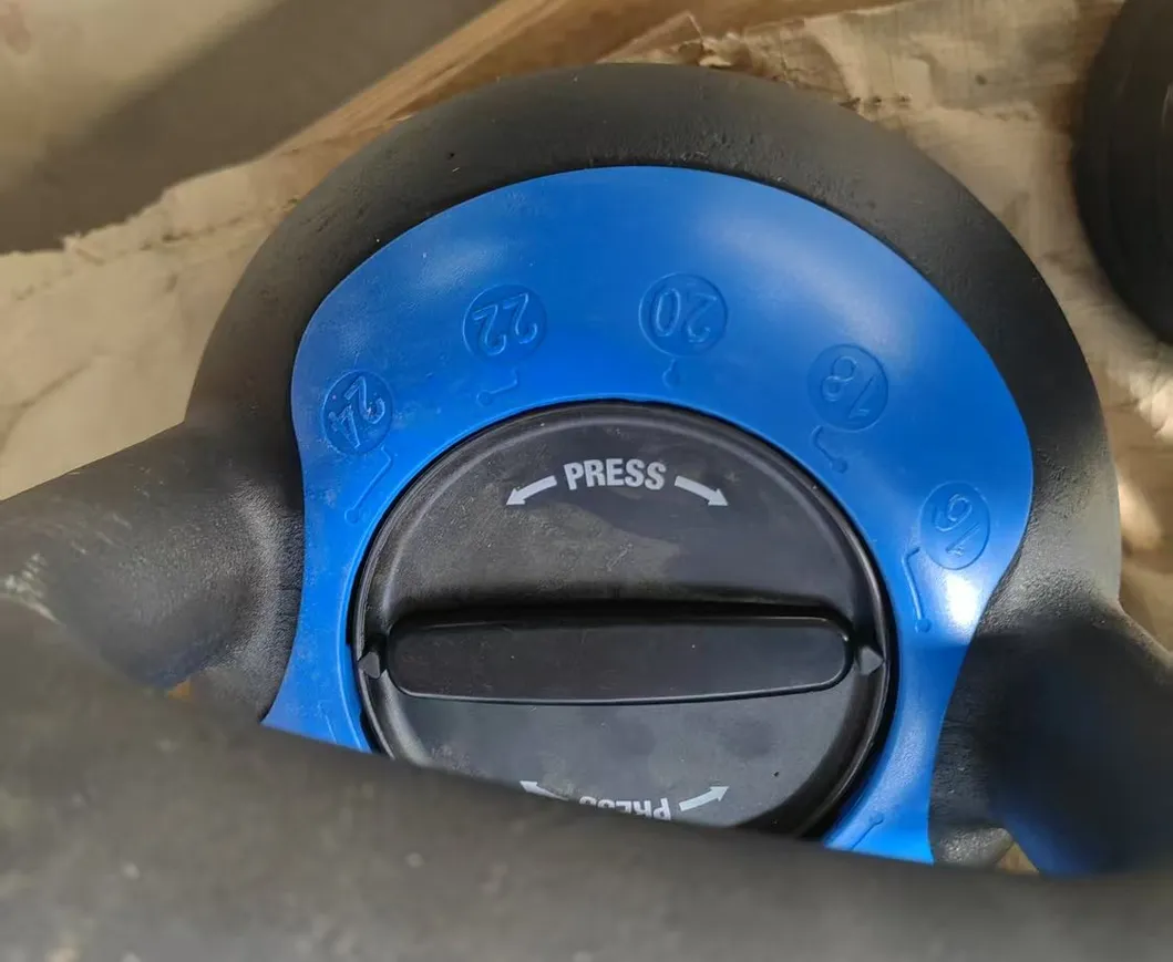 Adjustable Kettlebell View 2