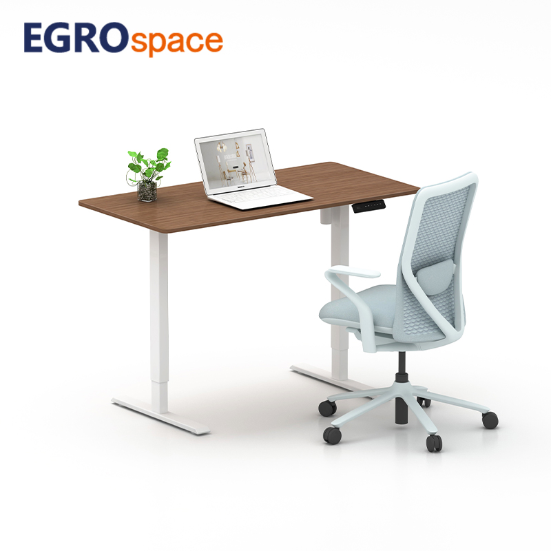 Egrospace Sit Stand Single Motor Standing Converter Electric Computer Executive Office Desk
