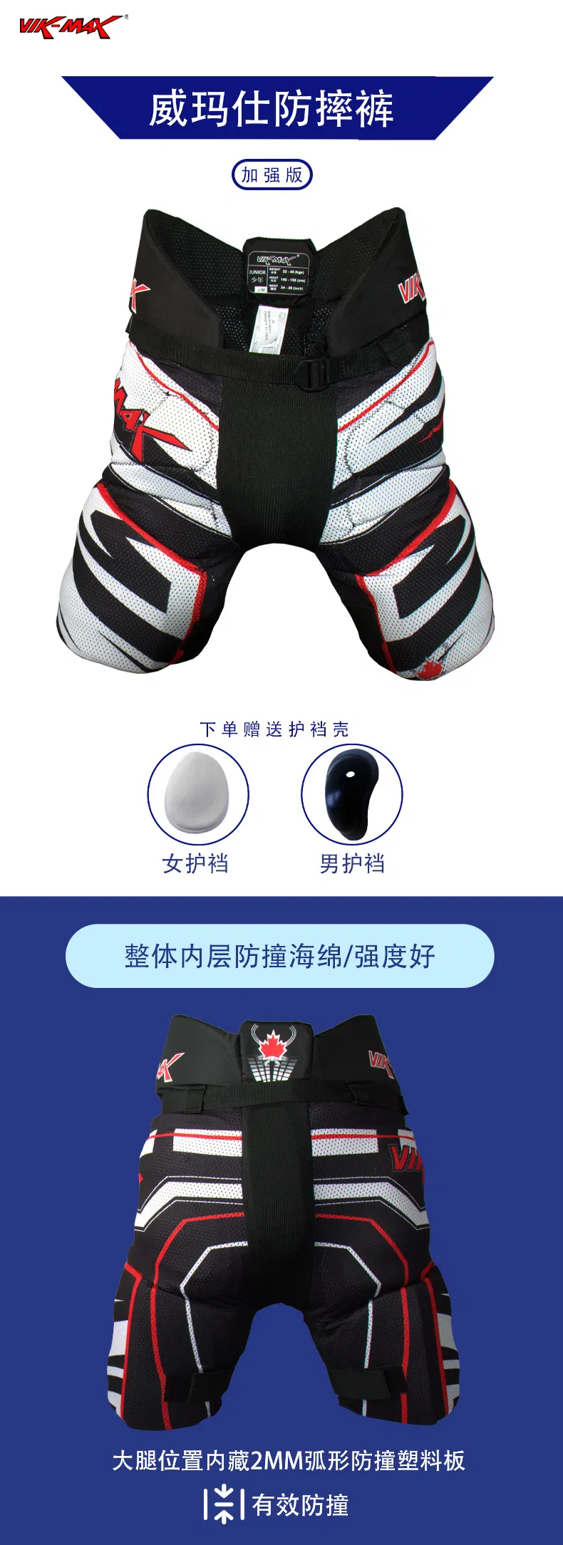 Hockey Protective Gear 1