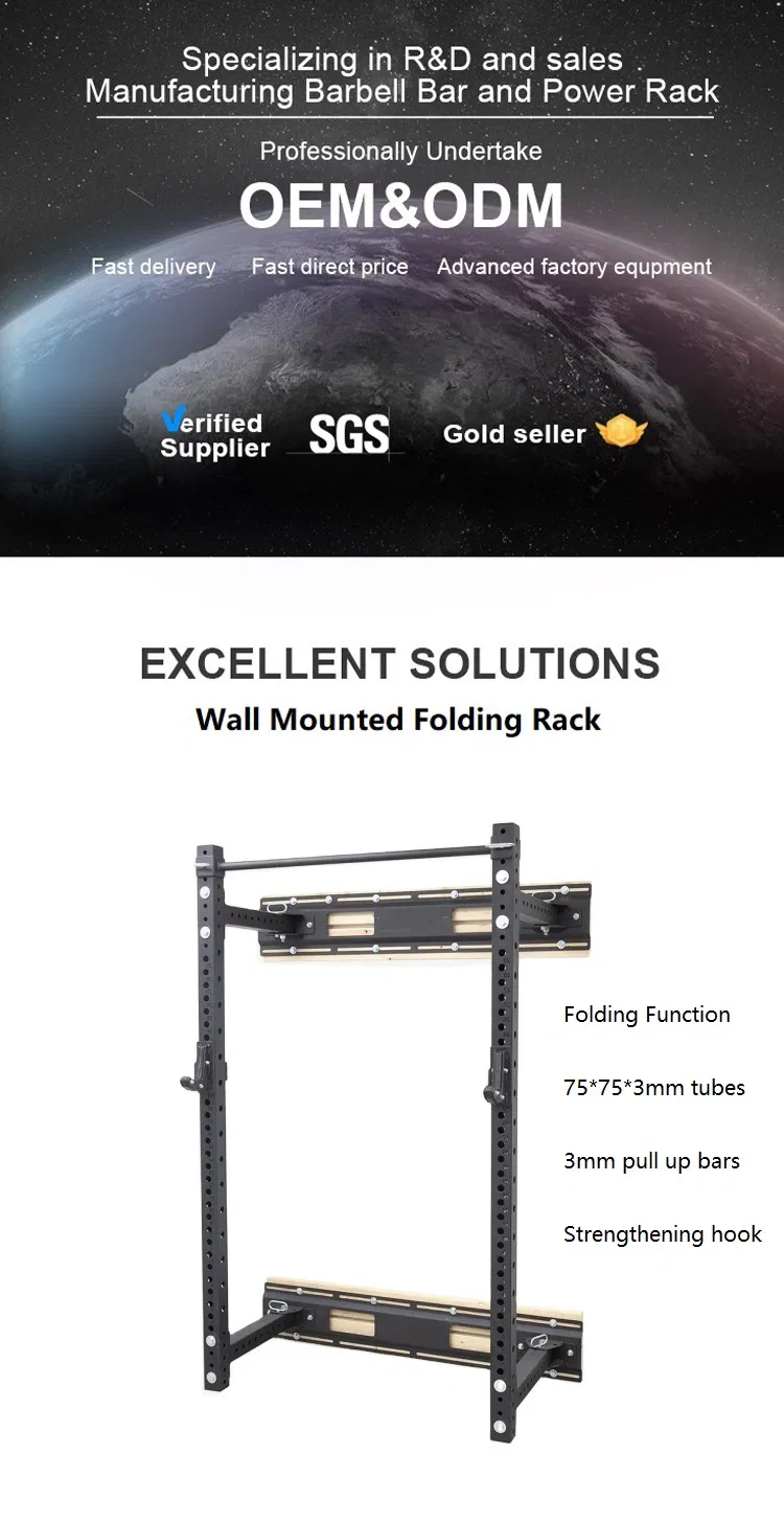 Wall Mounted Power Rack