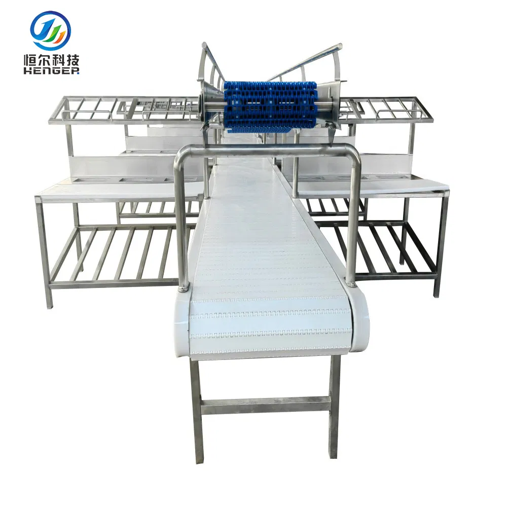 Meat Procession Room Automatic Meat Processing and Meat Cutting Line Equipment