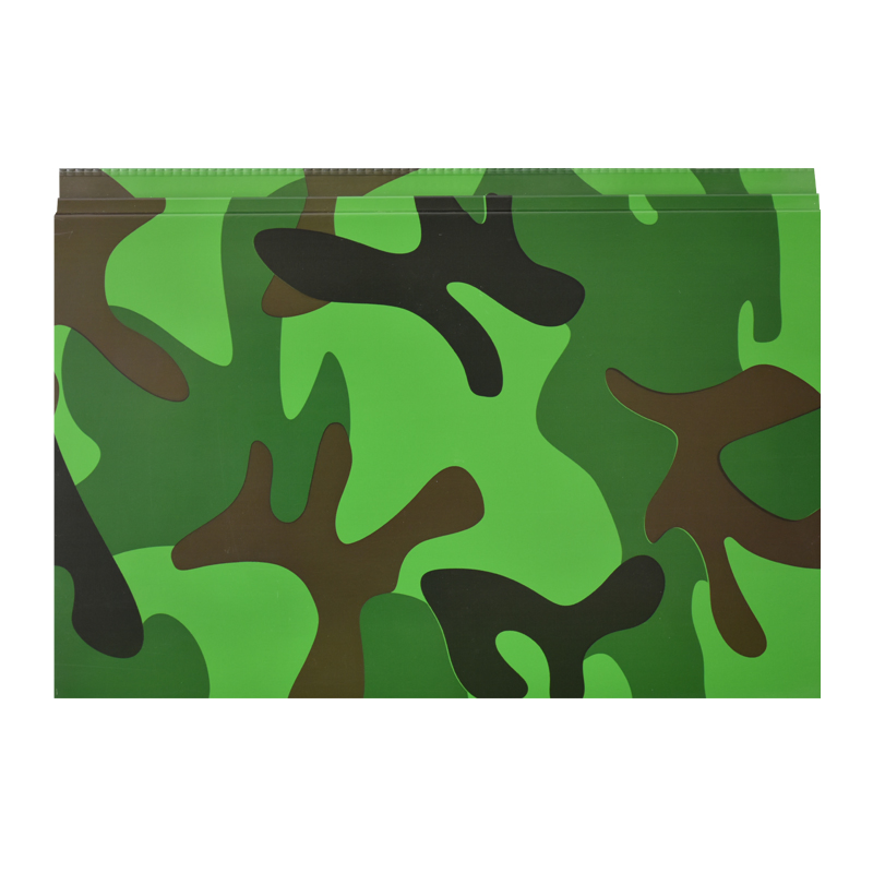 Versatile Sandwich Panel Wall for Attractive Outdoor Home Facades