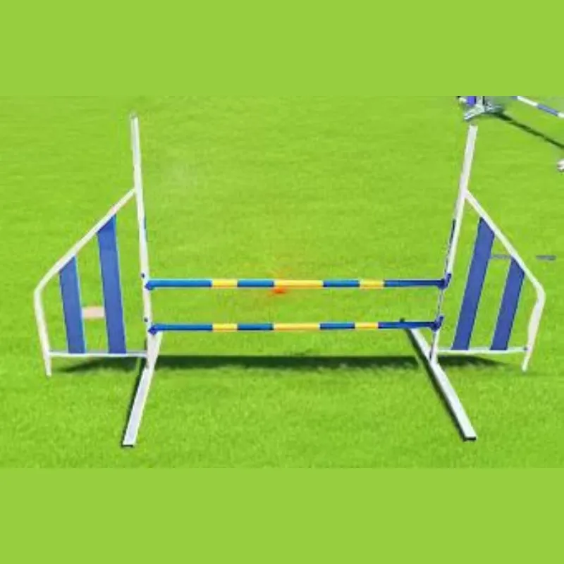 Dog Agility Training Detail 6