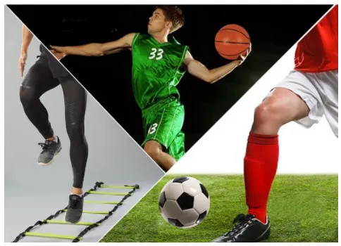 Agility Ladder Details