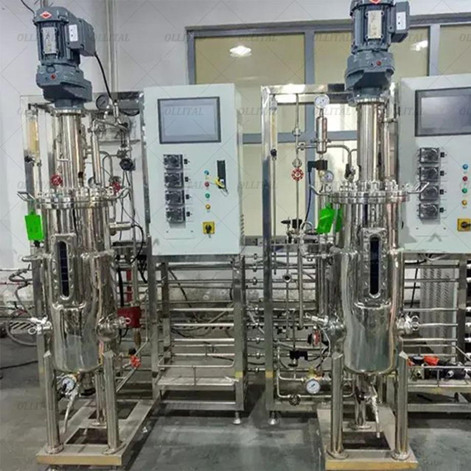 Ollital Algae Fermentation Bioreactor Industrial Production Scale
