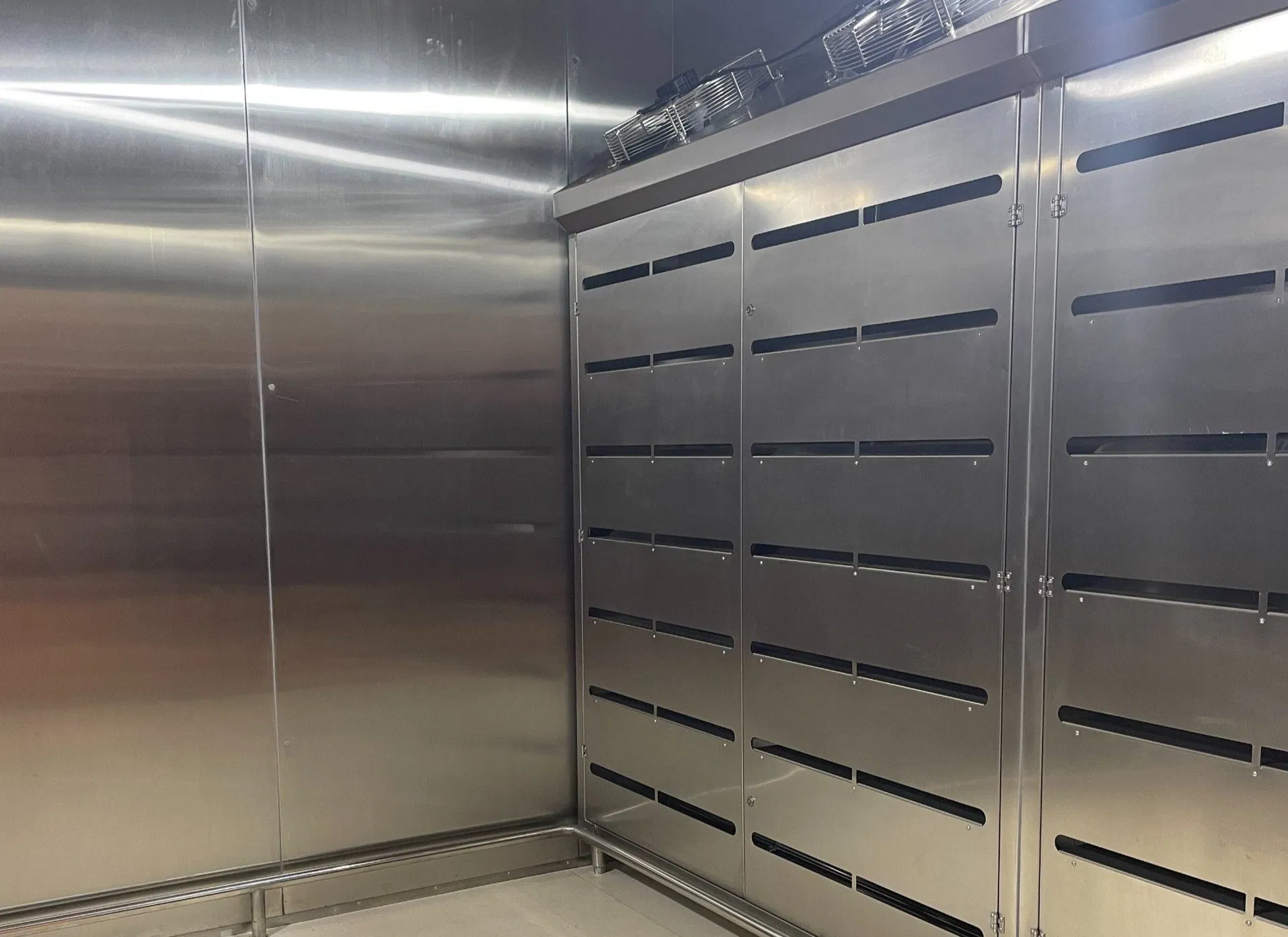 Smart Defrosting Machine Overview