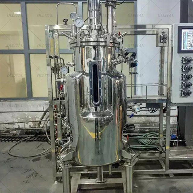 Ollital Laboratory Stainless Steel Fermenter Bioreactor