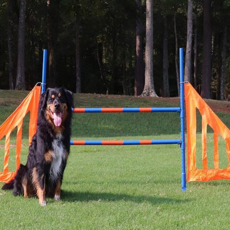 Pet Dog Agility Dog Training Jump Hurdle (GW-DT08)