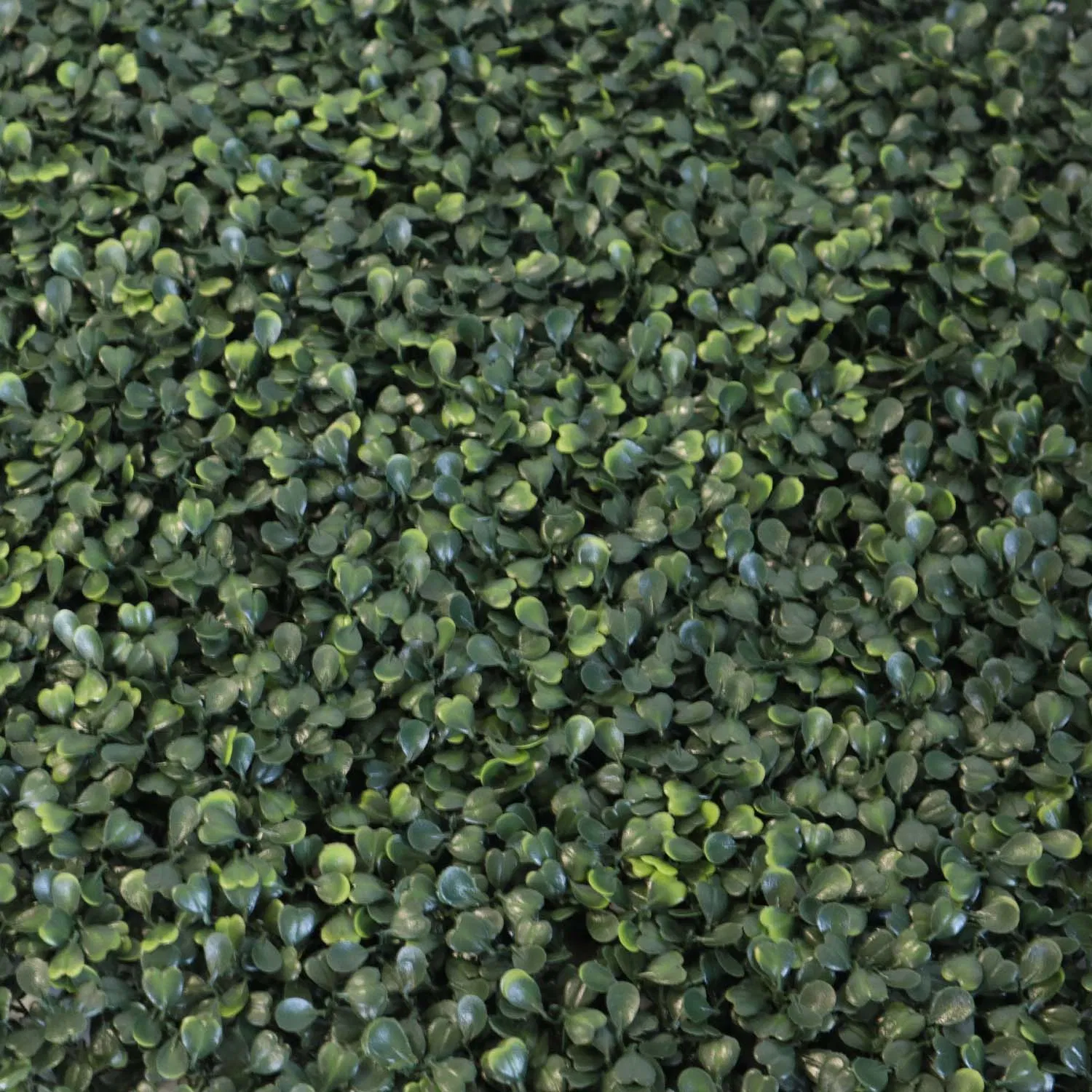 Grass Wall Classroom Grass Decoration Wall Green Wall Plants The Living Wall Vertical Green Wall Garden Plant Wall Grass Wall in Home