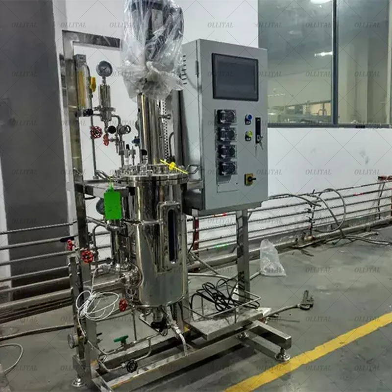 Ollital Bench Bioreactor Benchtop Bioreactor Algae