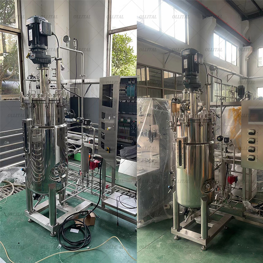Ollital Algae Fermentation Bioreactor Industrial Production Scale