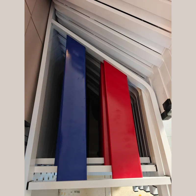 Dog Agility Training Detail 7