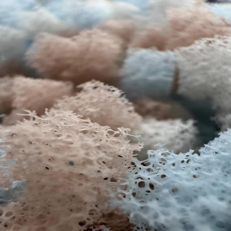 Pcg Bio-Filler: Pcg-Kjt Hydrogel Biofilm Media for Wastewater Treatment