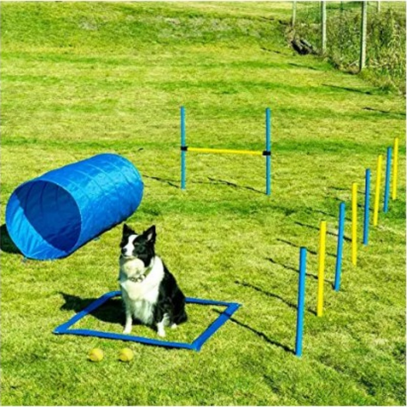 Dog Agility Wing Jump Hurdle for Pet Training