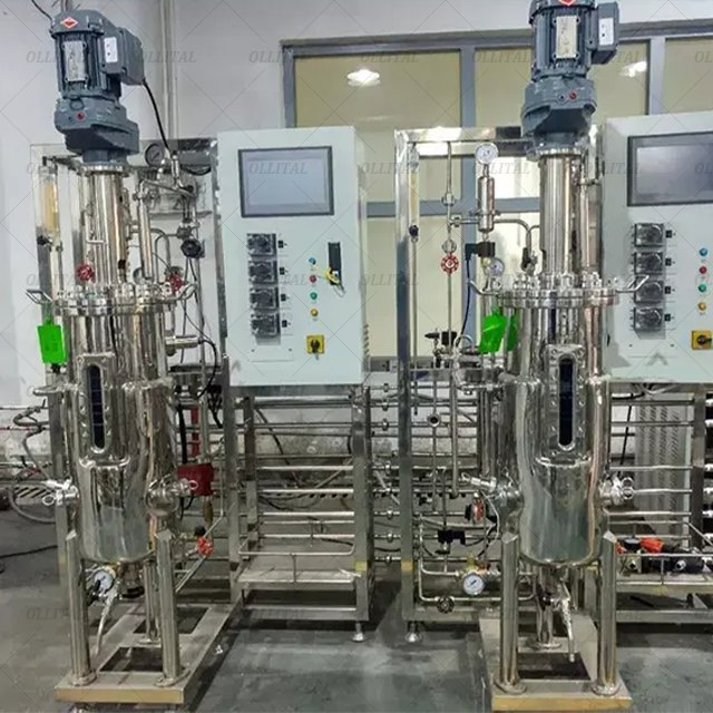 Ollital Laboratory Stainless Steel Fermenter Bioreactor