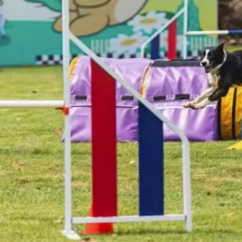 Aluminum Dog Agility Jump Hurdle Wings Pet Competition Training Equipment