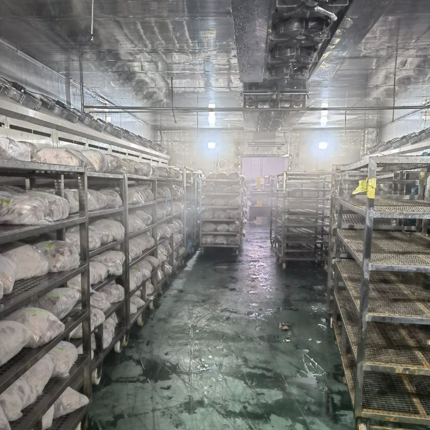 PLC Control Smart Defrosting Machine Low Temperature High Humidity Thawing Equipment