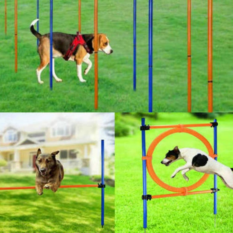 Dog Agility Wing Jump Hurdle for Pet Training