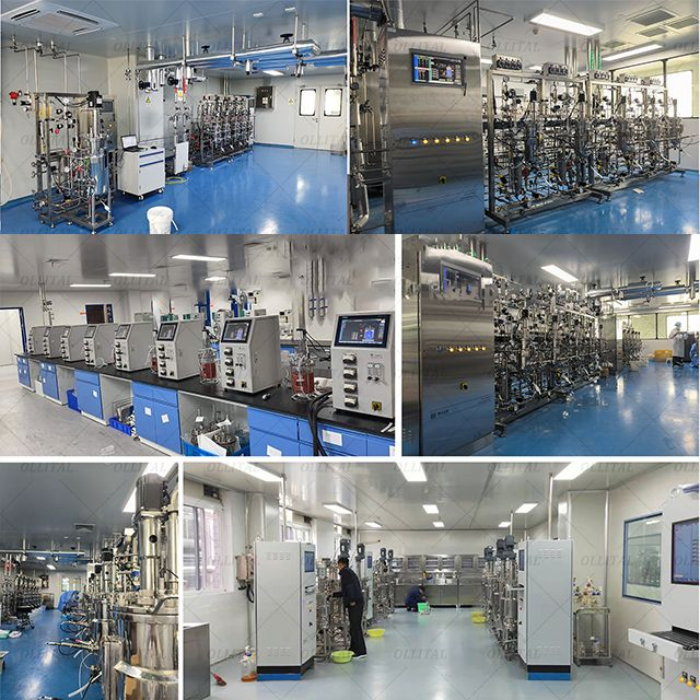 Ollital Stem Cell Bioreactor Stainless Fermenter